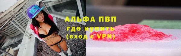 СК Алзамай