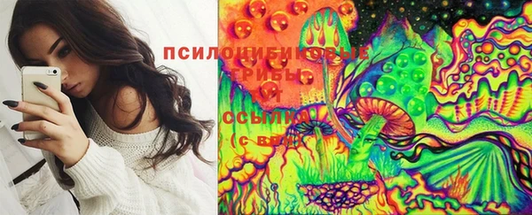 сатива Абинск