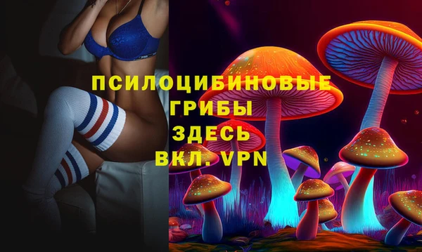 стафф Алексеевка
