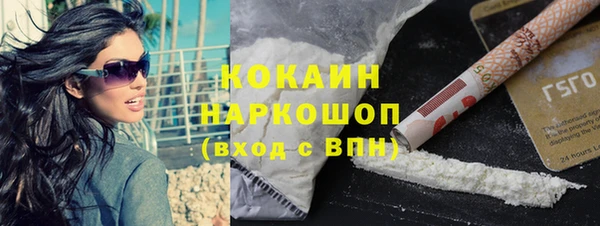 сатива Абинск