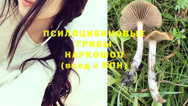 прущая мука Кулебаки