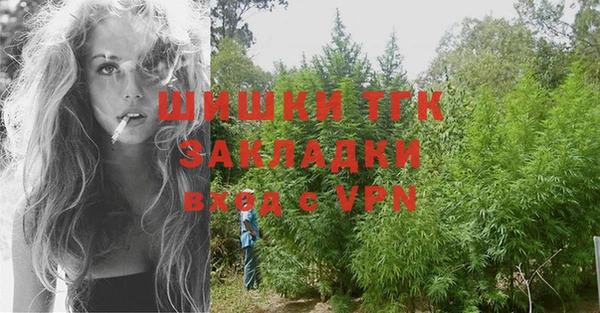 сатива Абинск