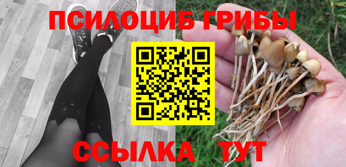 Псилоцибиновые грибы Magic Shrooms  Псилоцибиновые грибы Cubensis  Нижнекамск  Вход с VPN 