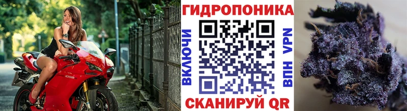 Конопля планчик продажа наркотиков сайты даркнета наркотические препараты Нижнекамск